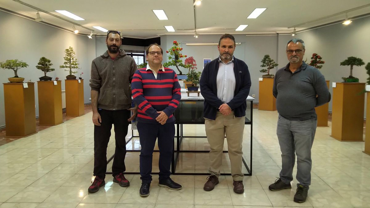 Inauguración el viernes de la muestra de bonsáis en La Bañeza. | L.N.C.