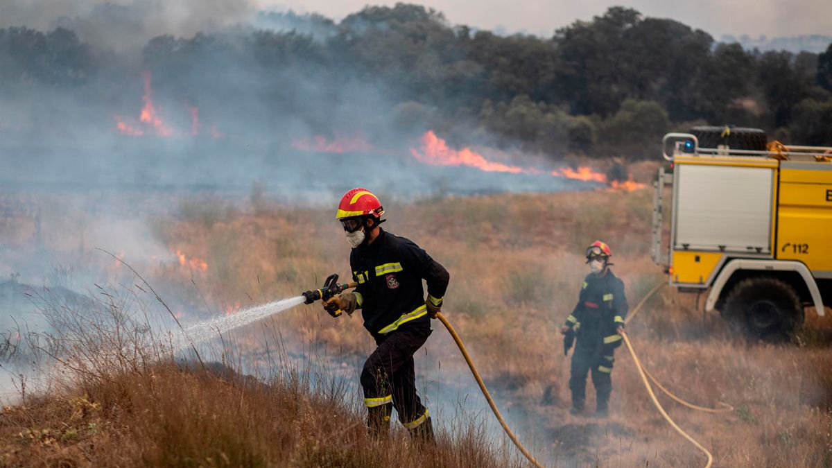 Varios bomberos trabajan en la extinción del fuego del incendio de Losacio, a 18 de julio. | EP