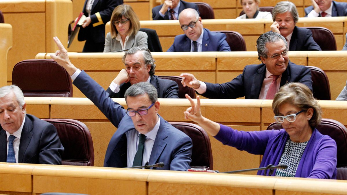 Senadores del grupo Popular durante la votación de una enmienda del PSOE a los Presupuestos Generales del Estado para 2016 para la bonificación del carbón nacional. | JUAN LÁZARO (ICAL)
