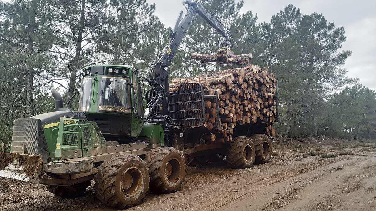 Recogida de madera por agentes medioambientales en un monte de la comunidad. | L.N.C.