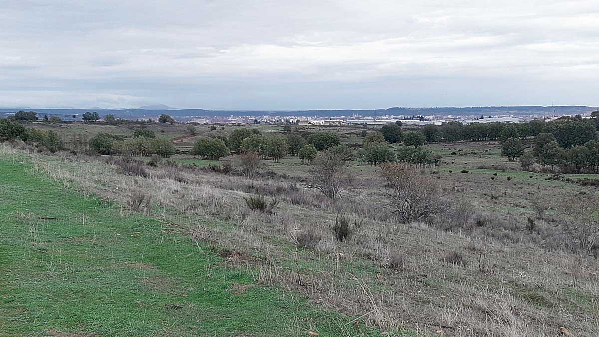 Vista general del paraje afectado por el cambio normativo. | L.N.C.