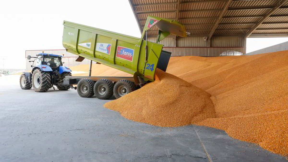 Labores de un agricultor  tras la cosecha de maíz en la provincia leonesa. | ICAL