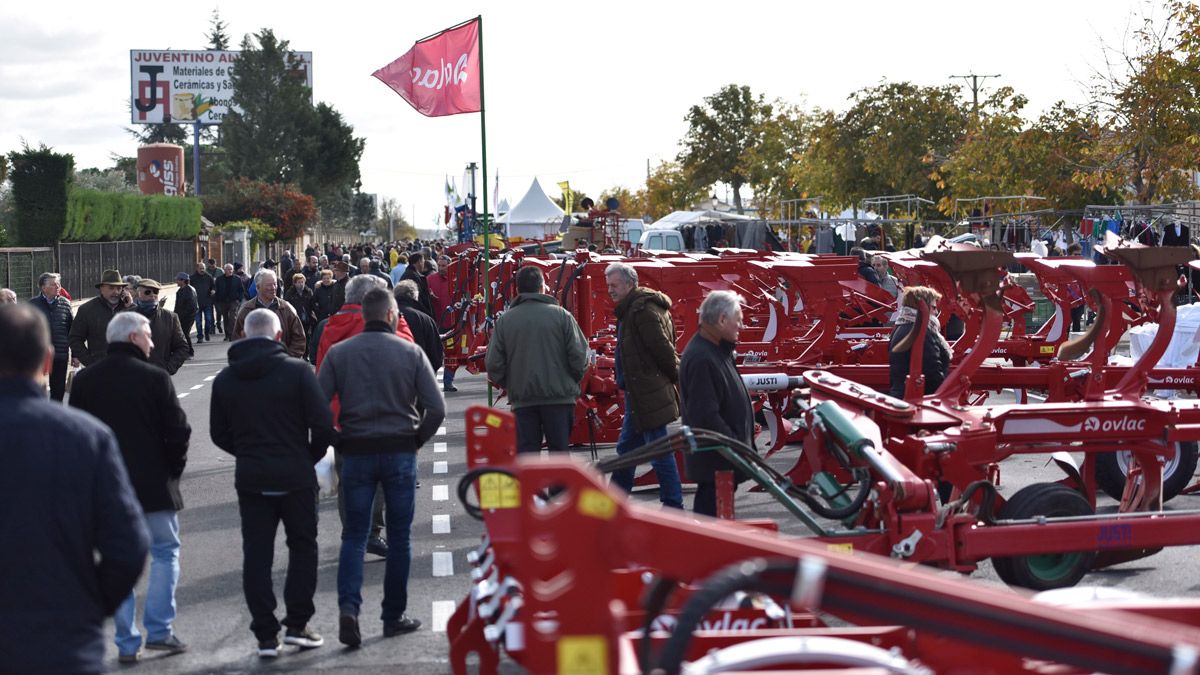 Feria de San Martín de Mansilla de las Mulas durante una edición anterior. | SAÚL ARÉN