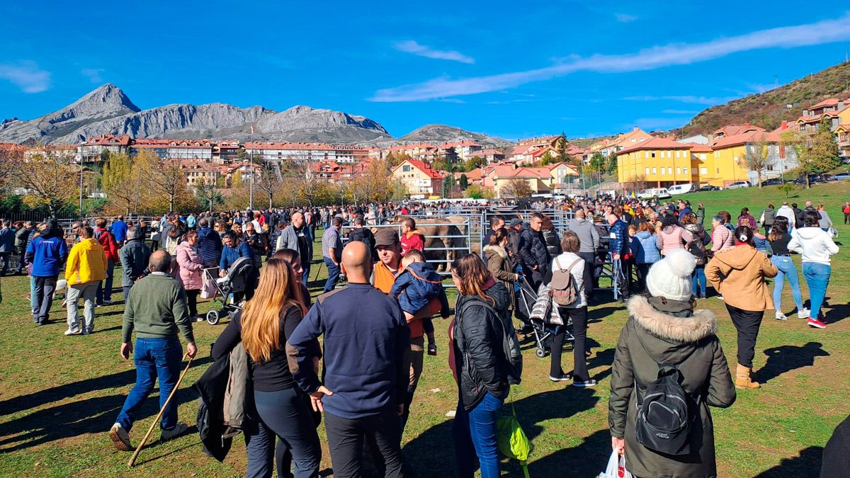 La feria atrajo un año más a un importante número de visitantes. | L.N.C.