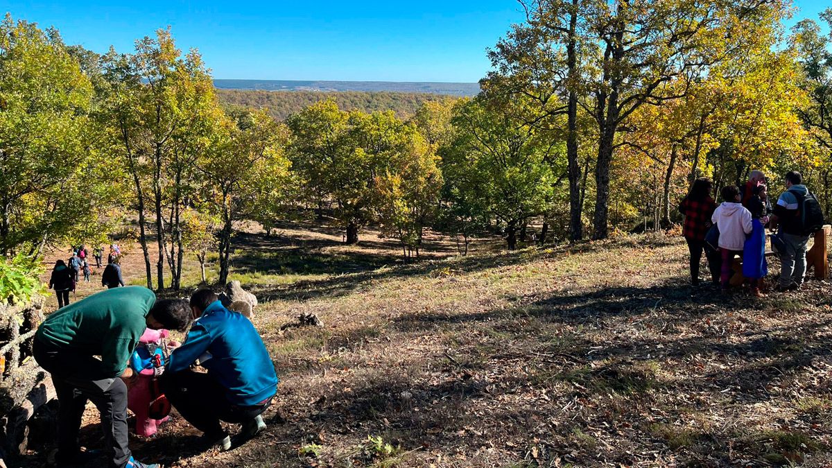 Cientos de visitantes se acercaron este sábado a conocer la ampliación de ‘El bosque de los enanitos’  | L.N.C..