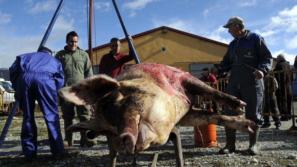 Foto de archivo de una matanza en Puebla de Lillo. | MAURICIO PEÑA