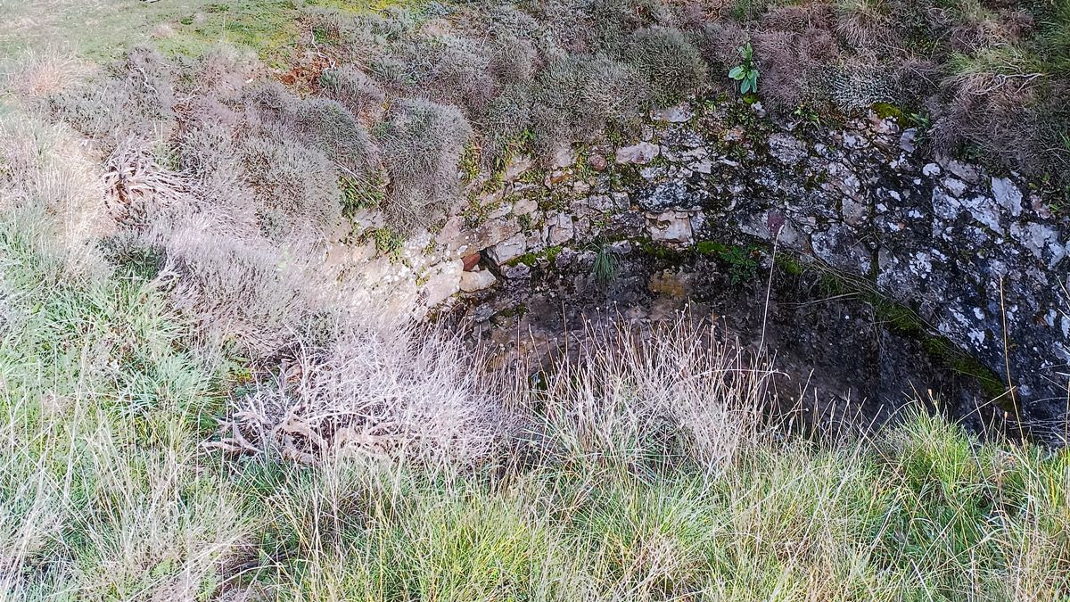 Estado que presenta en la actualidad el llamado Pozo de Hielo o la nevera de Sorriba del Esla, cubierto de maleza. | L.N.C.