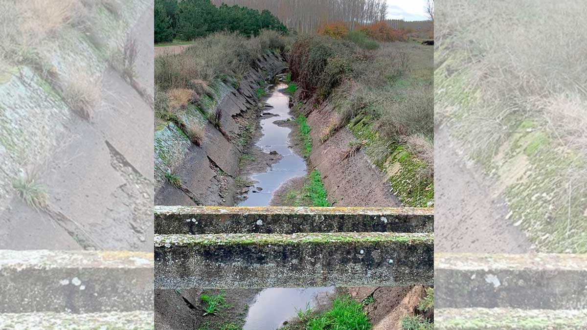 canal-de-carrizo-28112022.jpg