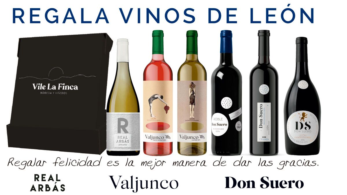 vile-la-finca-vinos-leon-02122022.jpg