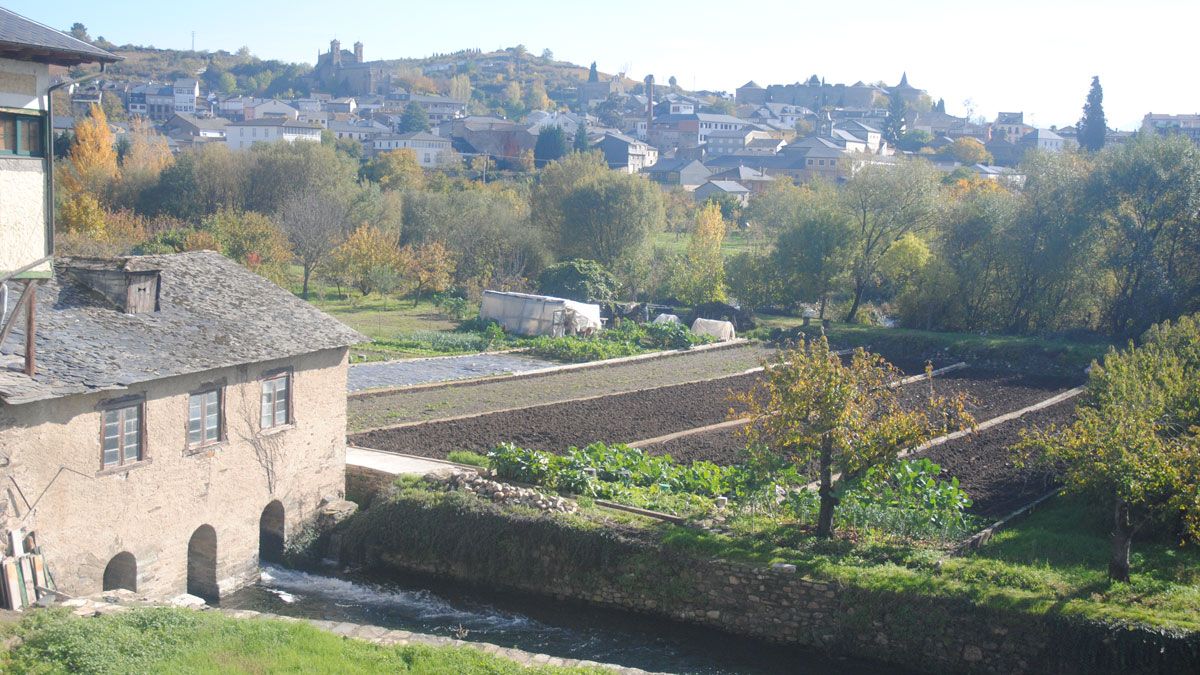 Uno de los molinos de Villafranca con las huertas al fondo, una estampa de pasado y de presente. | RAMON CELA