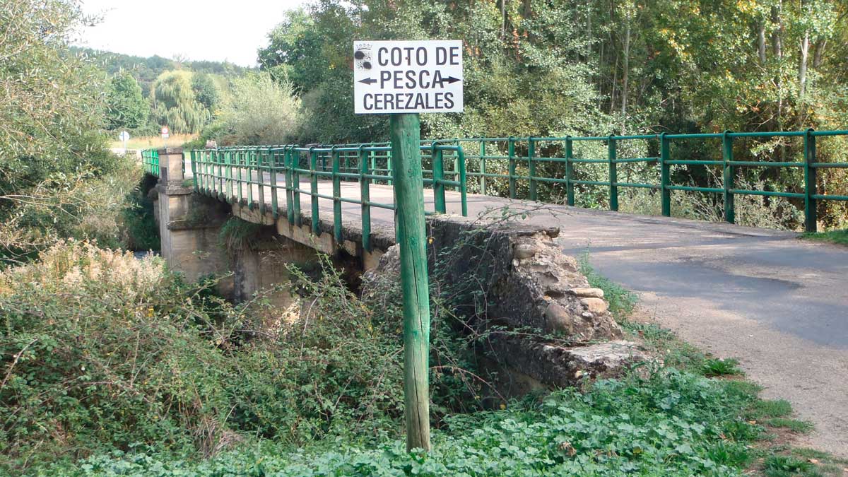 Coto de Cerezales en el río Porma. | RPN