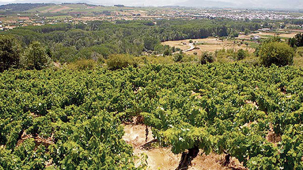 Se ubica en la comarca del Bierzo, en la localidad de Quilós, municipio de Cacabelos. | L.N.C.