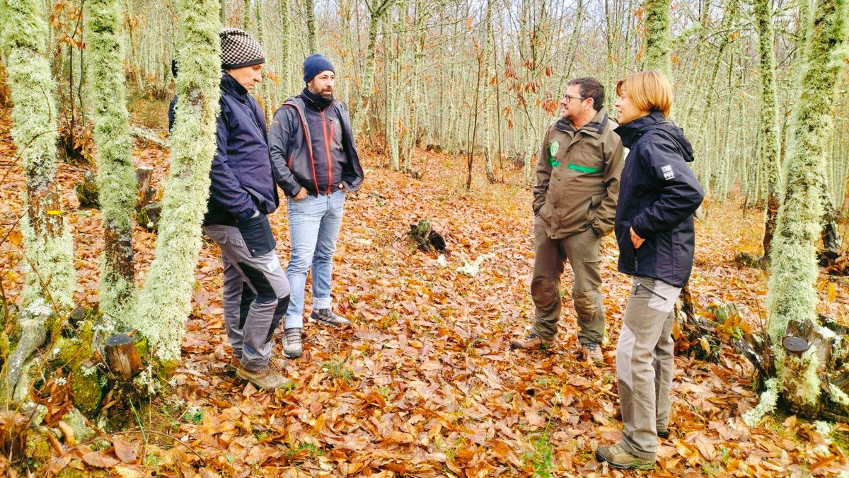 Visita de los técnicos de la Junta al soto de castaños.