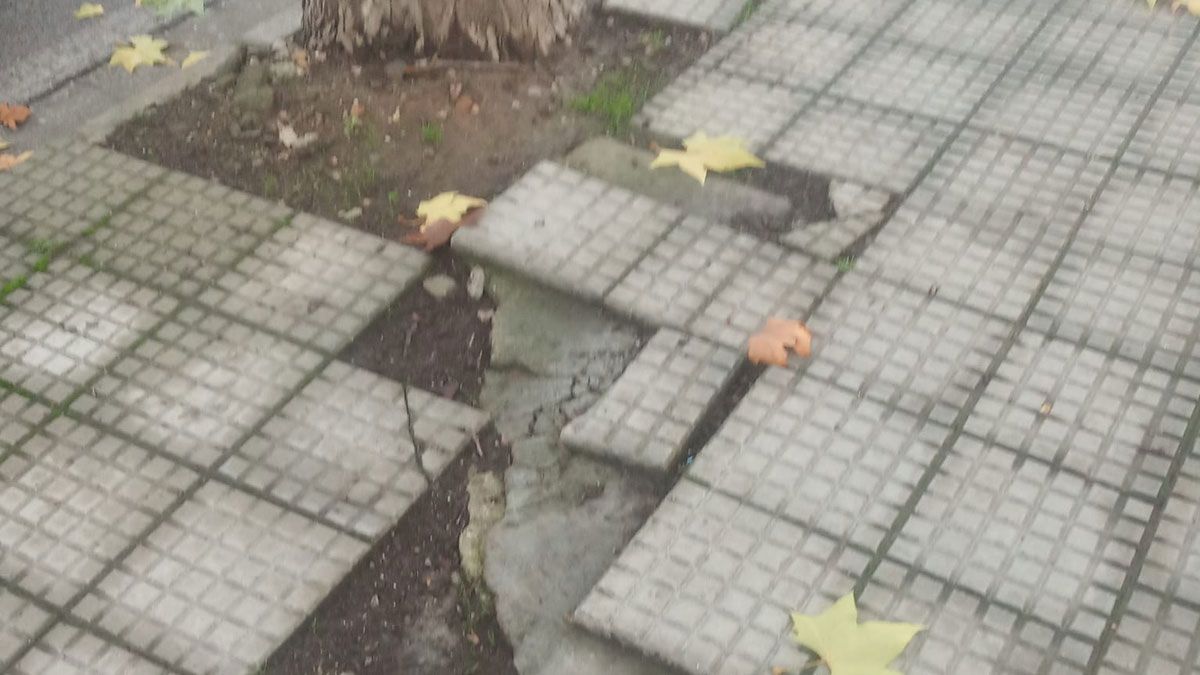 Mal estado de las aceras en la calle que se pide reparar.