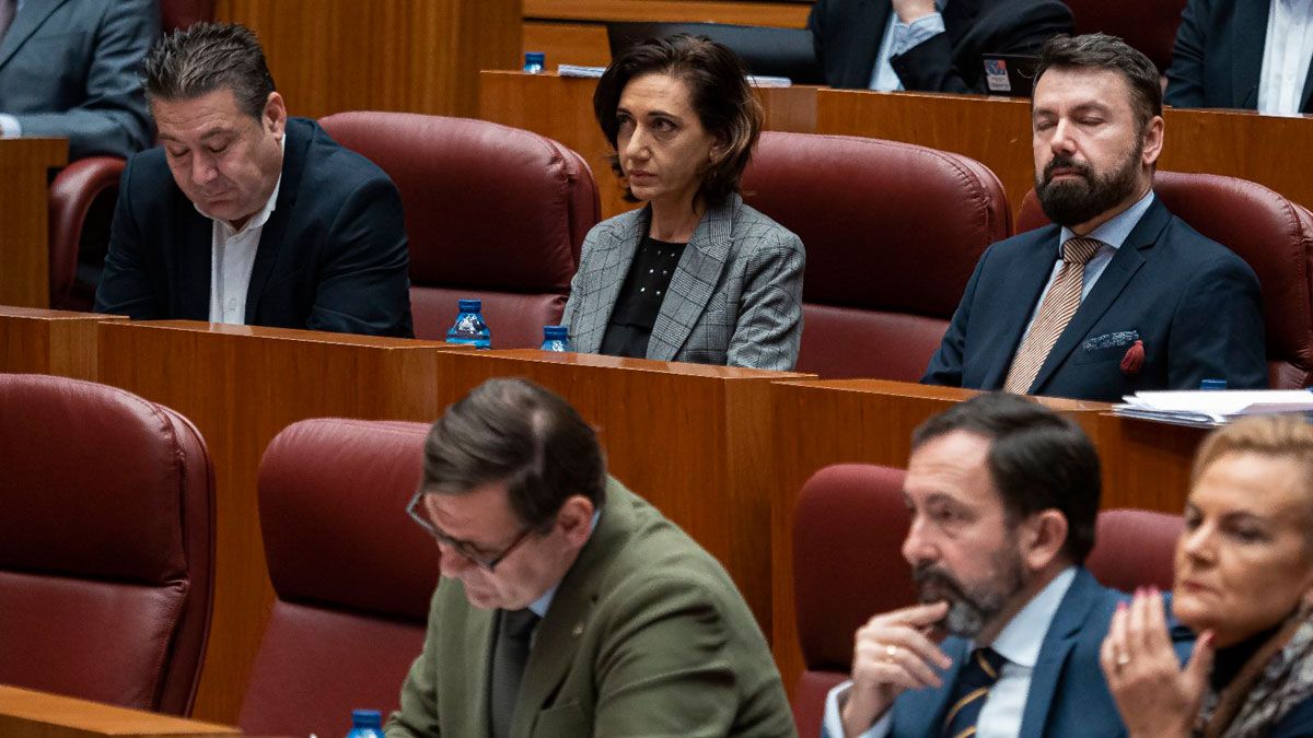 Bancada de los leonesistas en las Cortes de Castilla y León. Bancada de los leonesistas en las Cortes de Castilla y León.
