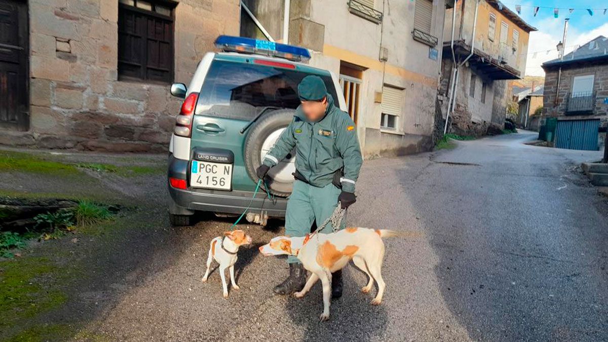 Recuperación de los perros por la Guardia Civil.