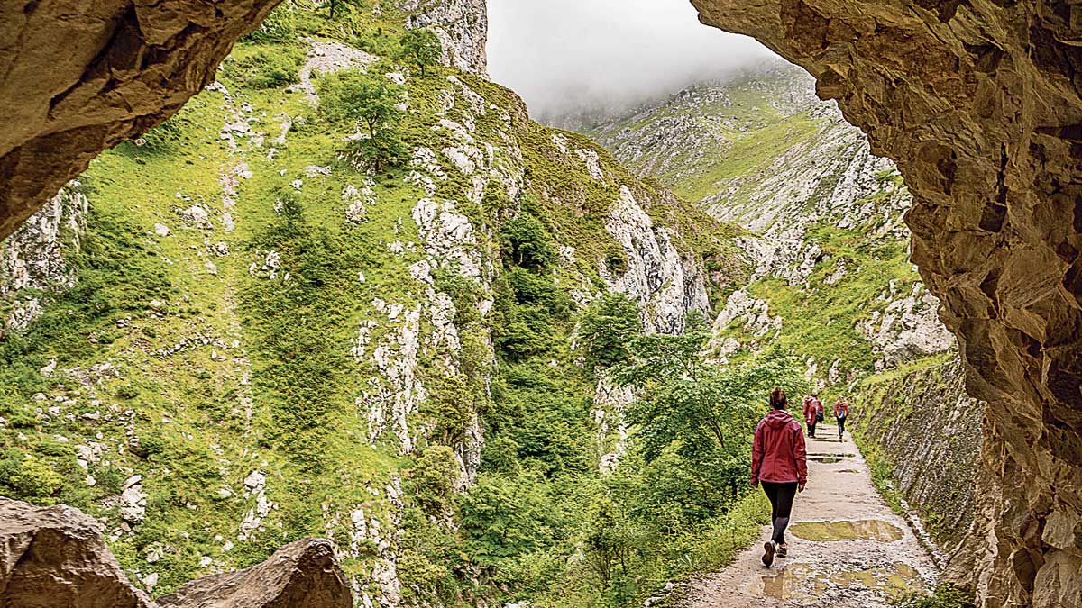 Garganta del Cares, la mítica senda del corazón de Picos de Europa. | VICENTE GARCÍA