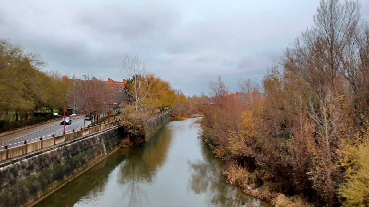 Ciudadanos reclama la limpieza el cauce del río Bernesga a su paso por la ciudad leonesa. | L.N.C.