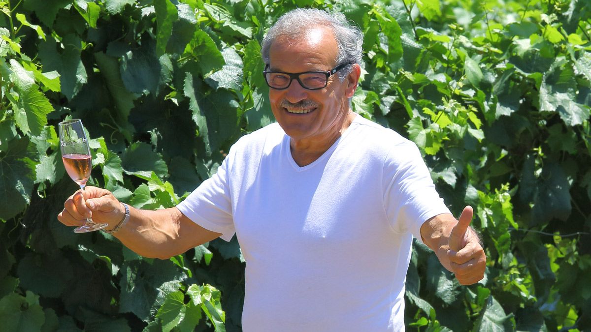 Prada entre sus viñedos de Canedo. | ICAL