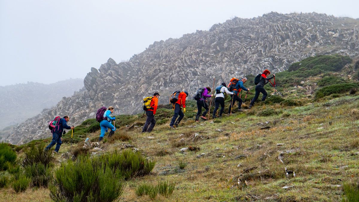 Un alto antes de entrar en la niebla. | Vicente García