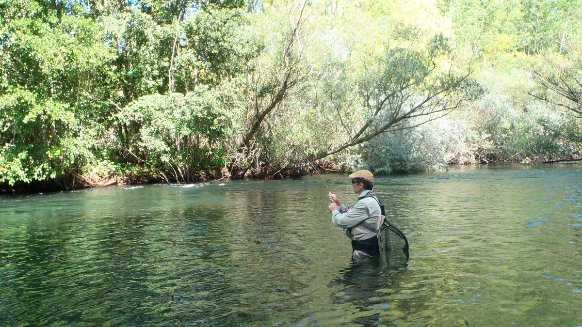 Pescador en el río Esla. | RODRIGO PRADO NÚÑEZ