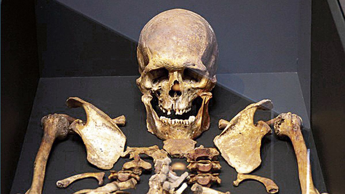 La Braña 1, el ‘leonés’ moreno de ojos azules de hace 7.000 años. | PEIO GARCÍA (ICAL)