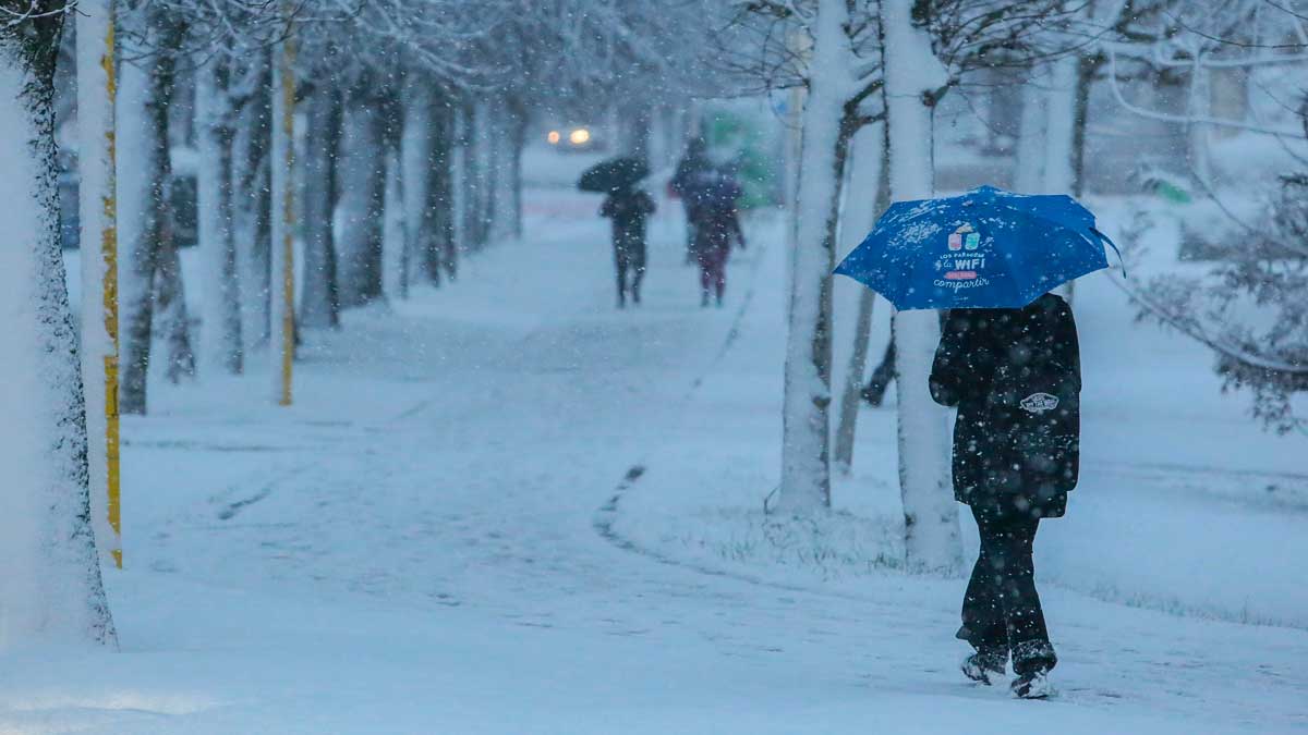 La nieve ha llegado con intensidad este miércoles. | CAMPILLO / ICAL