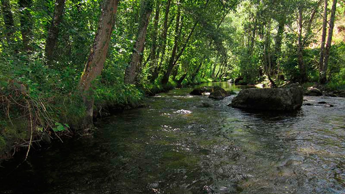 Aguas del río Selmo que pasa por Friera. Aguas del río Selmo que pasa por Friera.