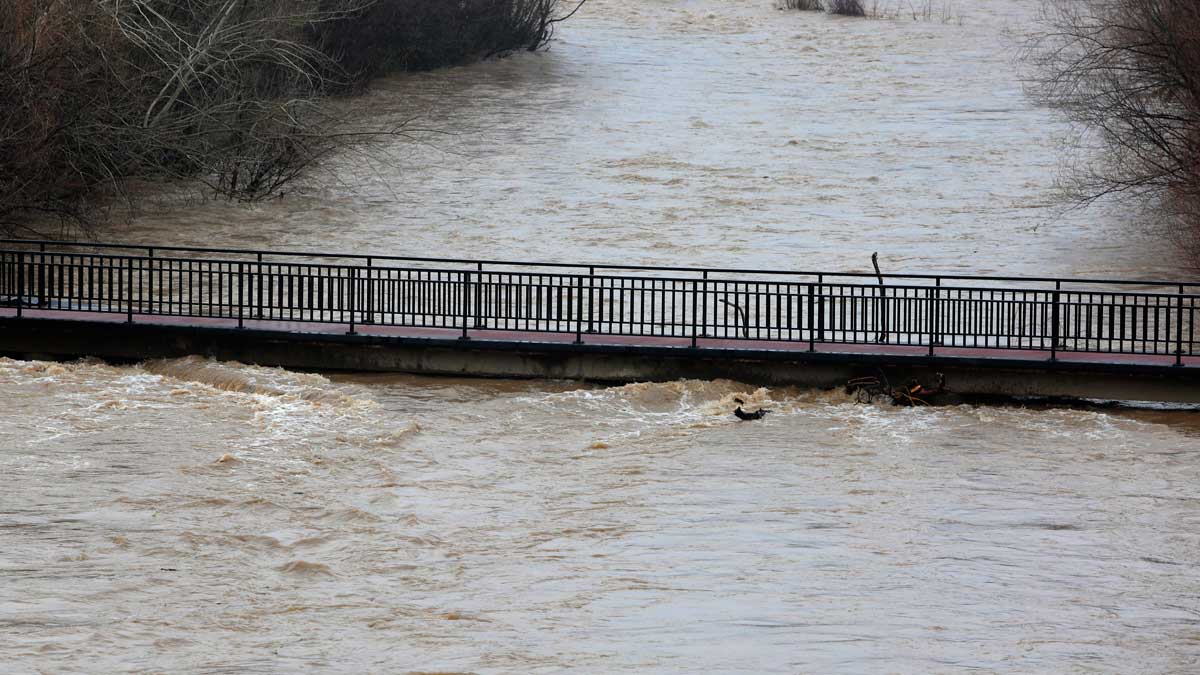 El río Bernesga a su paso por León. | CAMPILLO / ICAL