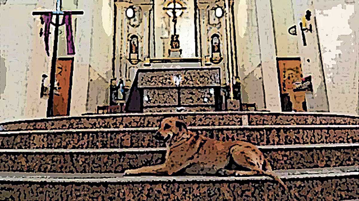 cosas-de-aqui-perro.jpg cosas-de-aqui-perro.jpg
