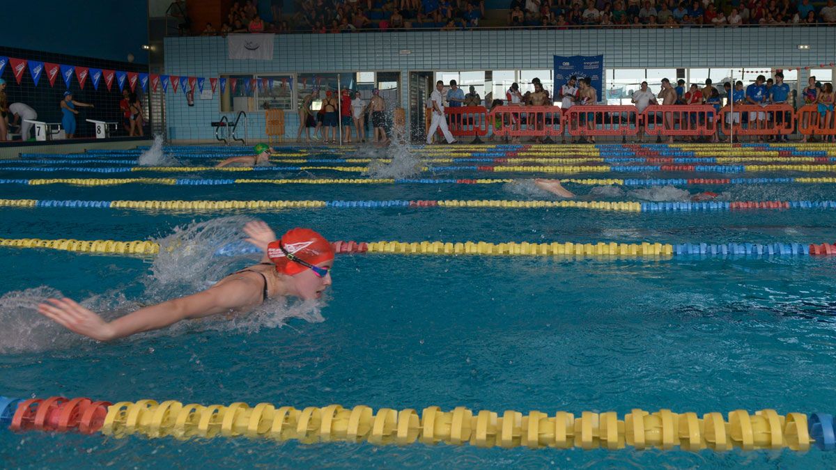 Imagen de una competición en la piscina de La Palomera. :: mauricio peña
