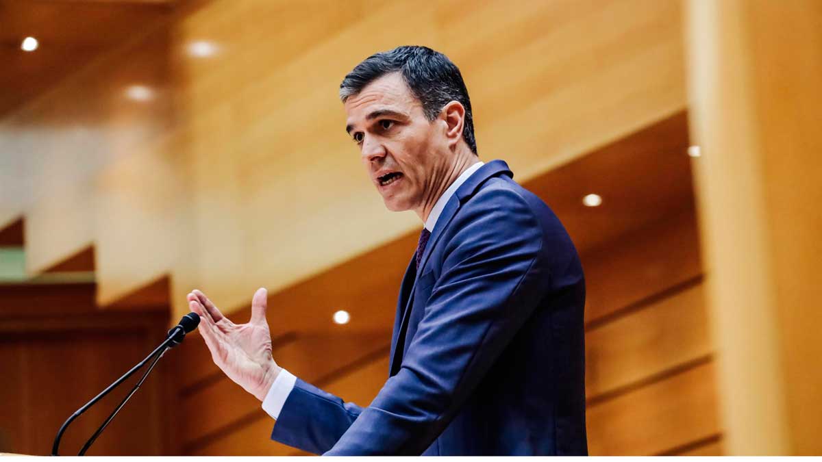 Pedro Sánchez durante su comparecencia en el Senado. | EP