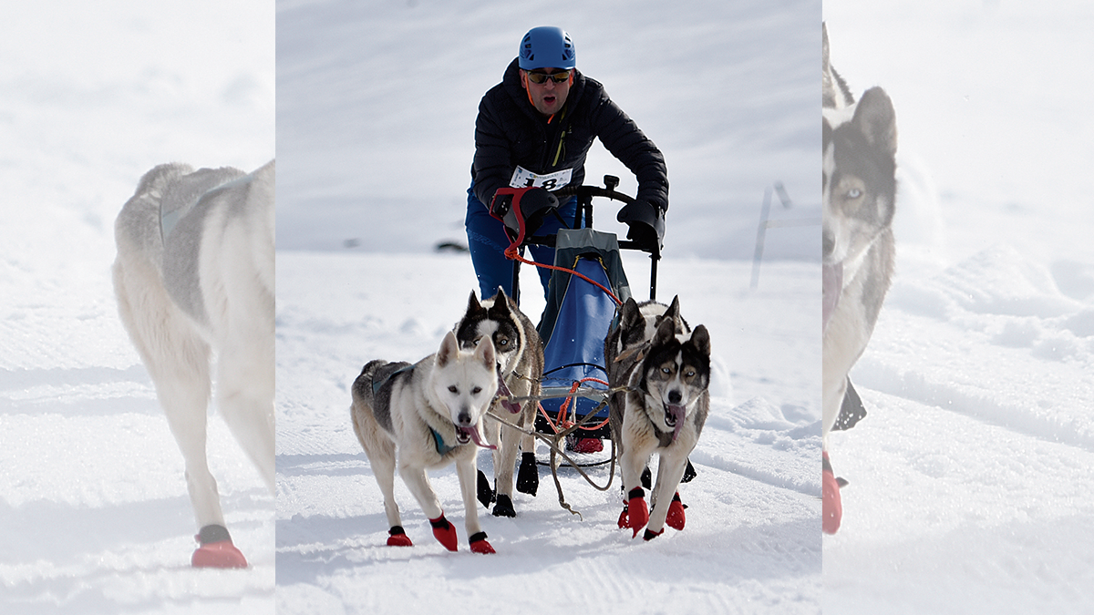 mushing-leon-03022023.png