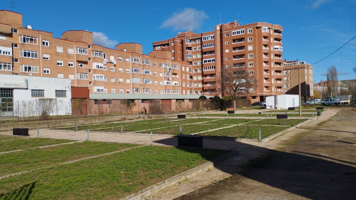 imagen-huertos-urbanos.jpg imagen-huertos-urbanos.jpg