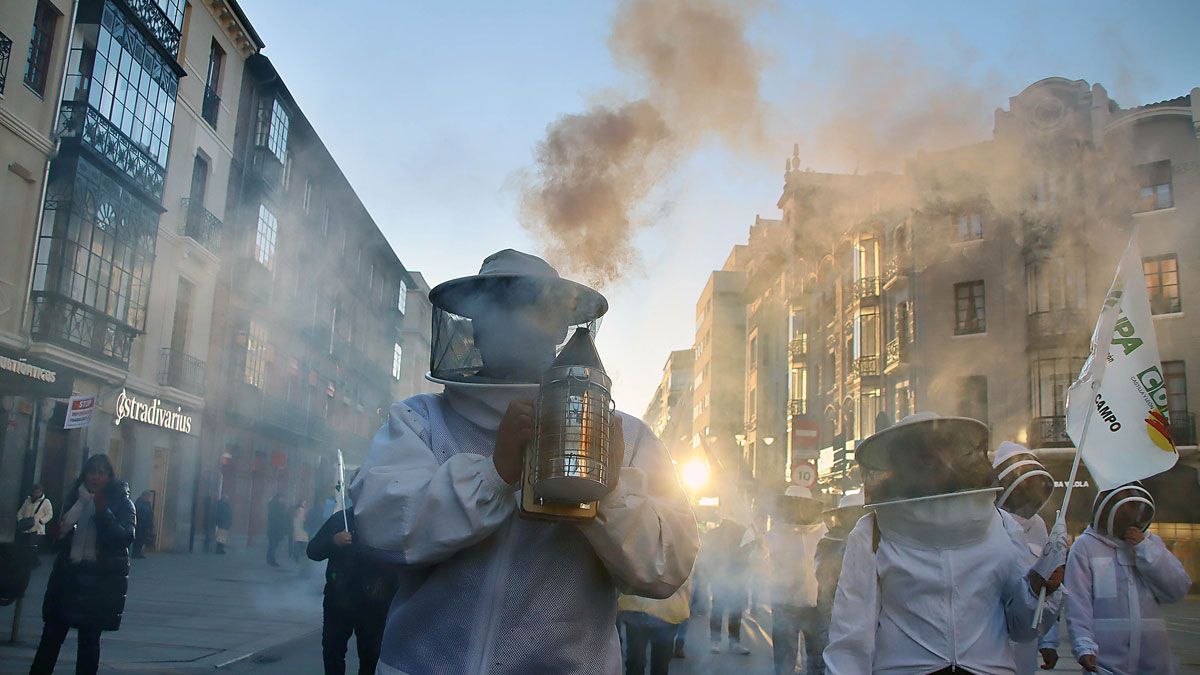 Organizaciones profesionales convocan una manifestación en León en defensa del sector de la apicultura. | Ical