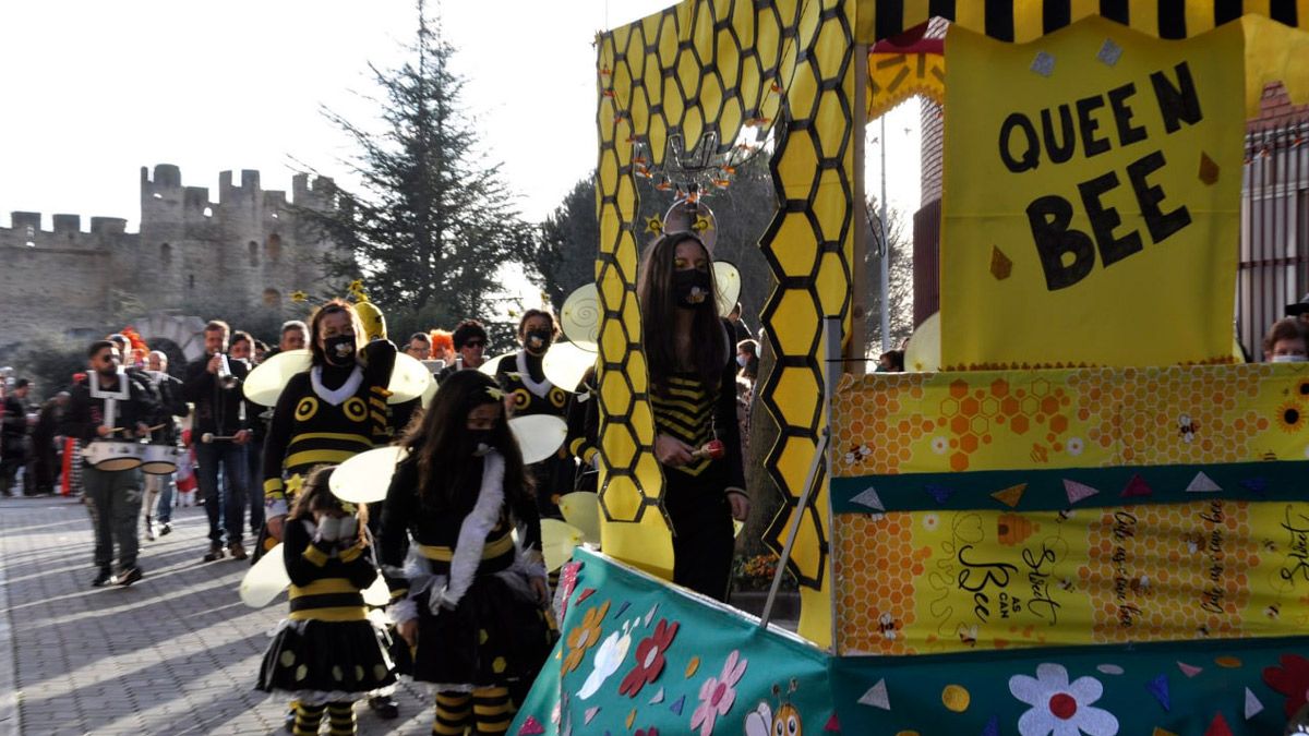 Desfile del Carnaval de Valencia de Don Juan del año pasado. | L.N.C.