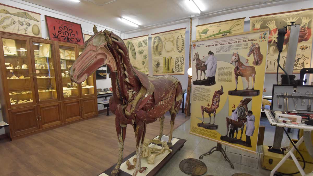 Reportaje fotográfico del Museo de Colecciones | SAÚL ARÉN