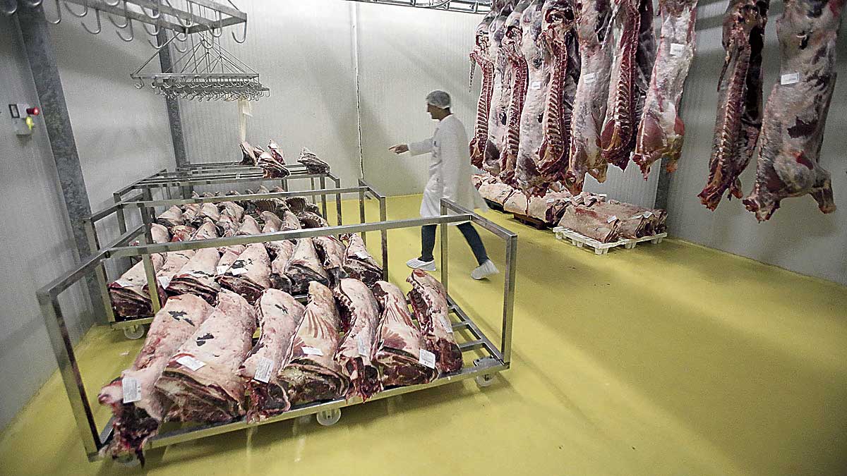 Los alimentos han tomado el relevo de la maquinaria y el metal en el liderazgo de las exportaciones. | ICAL