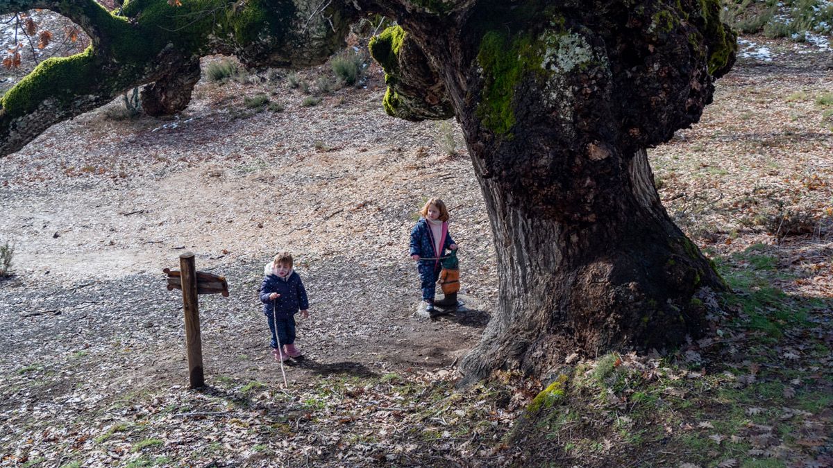 Casa de enanito en la ruta de los cuentos de Almanza. | Vicente García