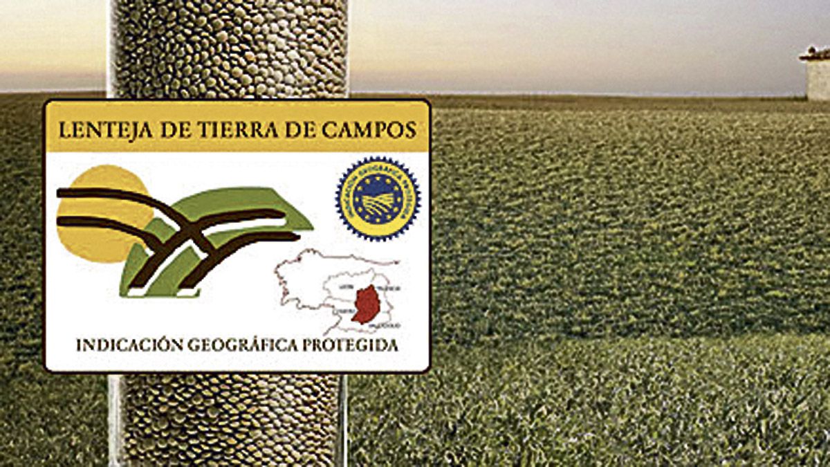 Imagen de la entidad organizadora. Imagen de la entidad organizadora.