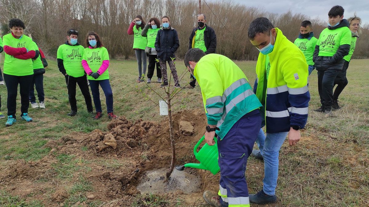 valencia-de-don-juan-dia-mundial-arbol-via-verde-natura-coyanza_14.jpg