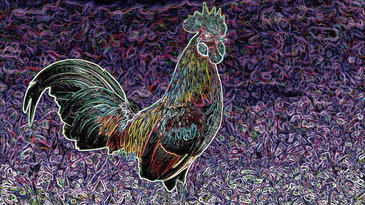 gallo-saturnino.jpg gallo-saturnino.jpg