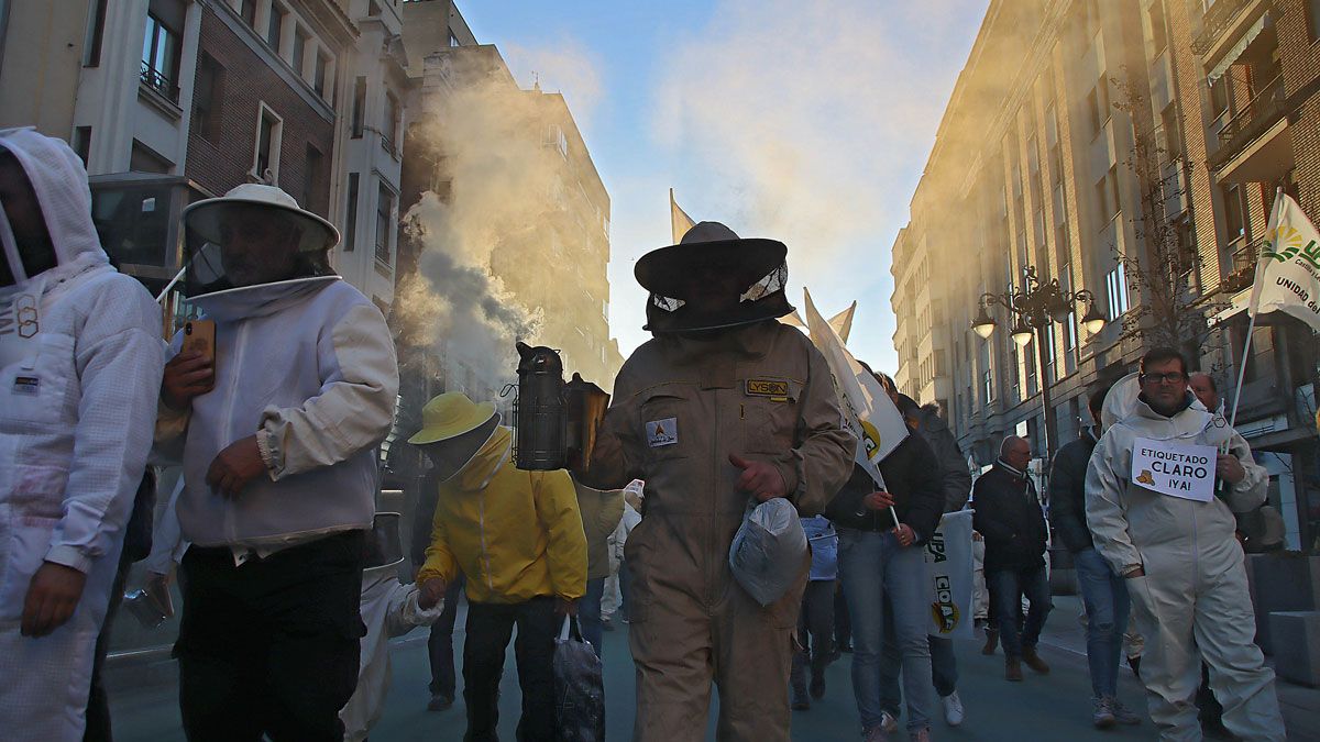 Imagen de una protesta de los apicultores por las calles de León. | Ical