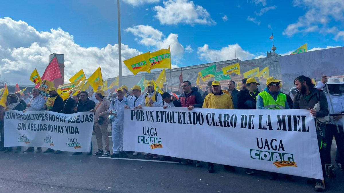 Apicultores leoneses han acudido a la manifestación de este jueves en Madrid. | L.N.C.