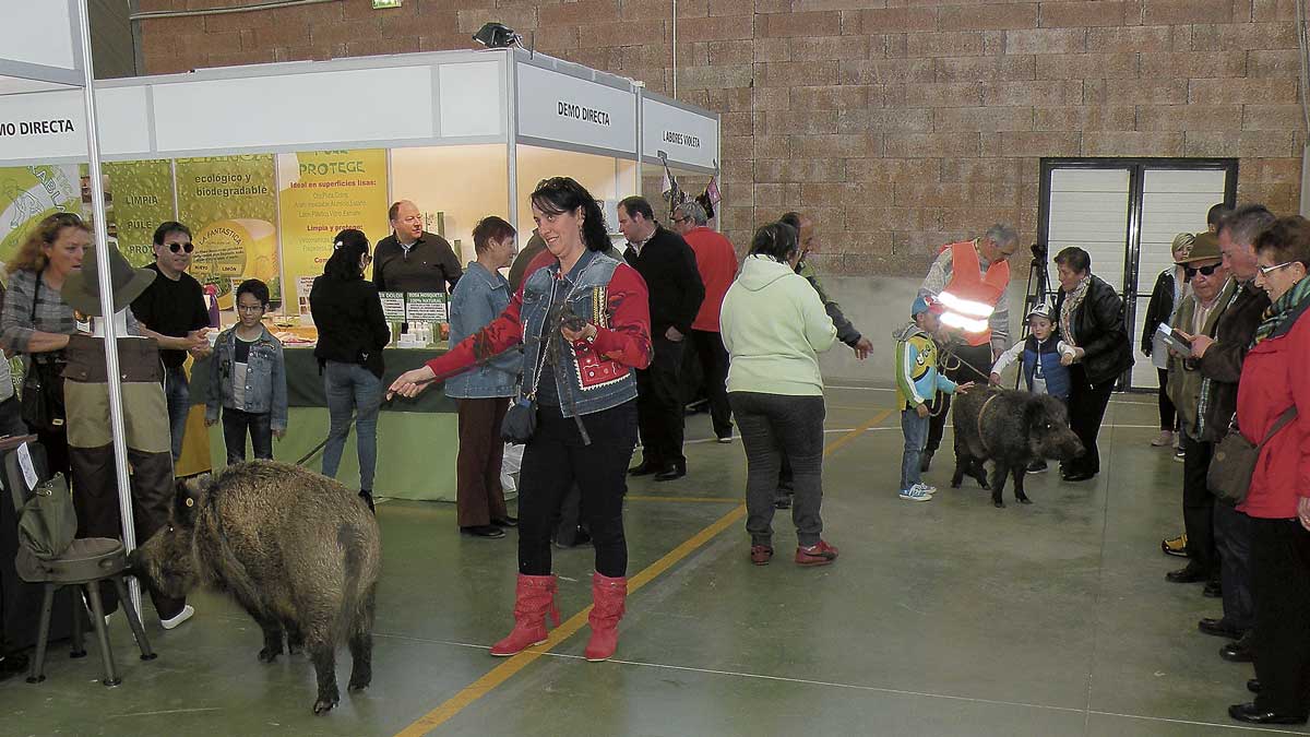 Dos días repletos de actividades en el recinto ferial. | E.NIÑO