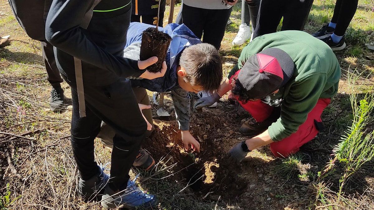 Alumnos plantando algunos de los ejemplares.