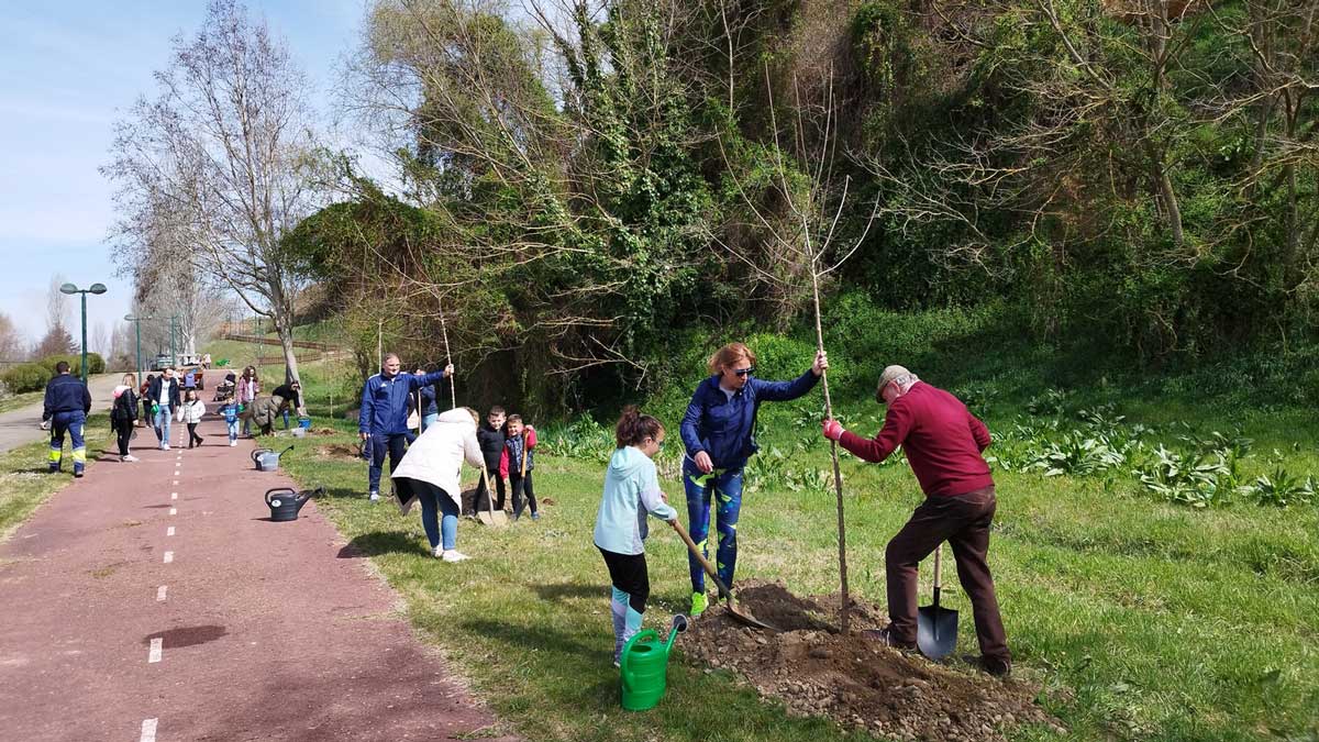 Algunos de los participantes en la plantación de árboles. | L.N.C.