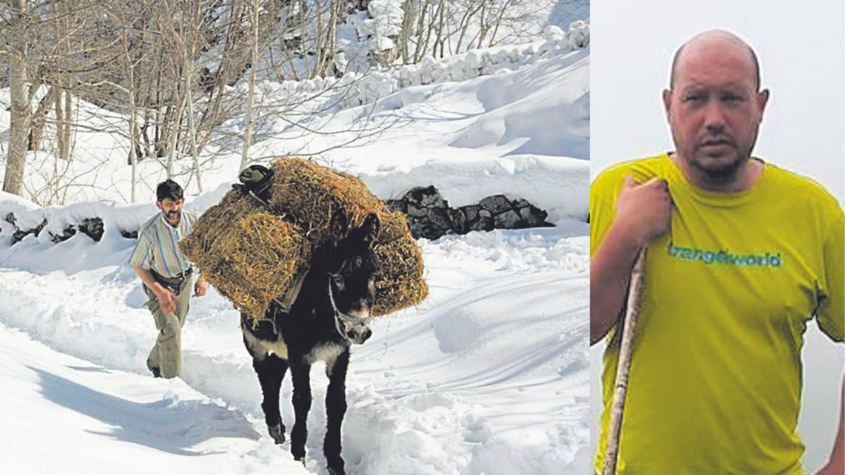 porteador-burro-refugio-urriello-26032023.png porteador-burro-refugio-urriello-26032023.png