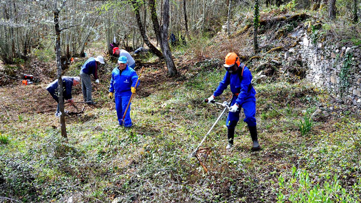 Hacendera en Villar de los Barrios. | L.N.C.