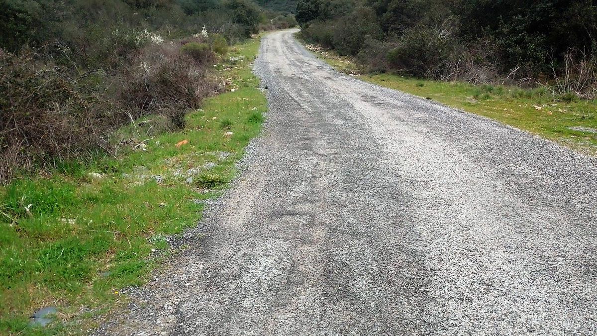 Estado del vial que denuncian los vecinos.